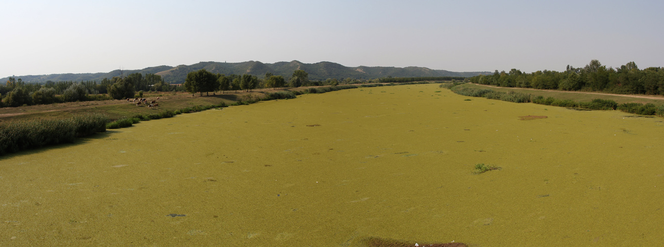 Panorama 17.JPG